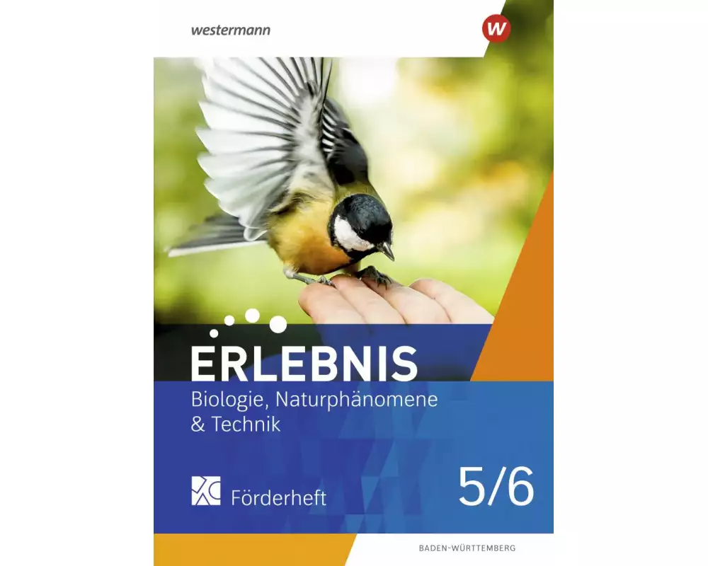 Erlebnis BNT Naturphänomene & Technik 5 / 6. Förderarbeitsheft. Für Baden-Württemberg