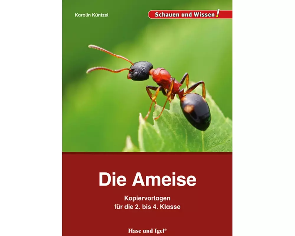 Die Ameise - Kopiervorlagen für die 2. bis 4. Klasse
