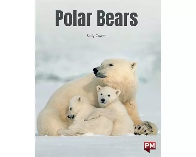 Polar Bears