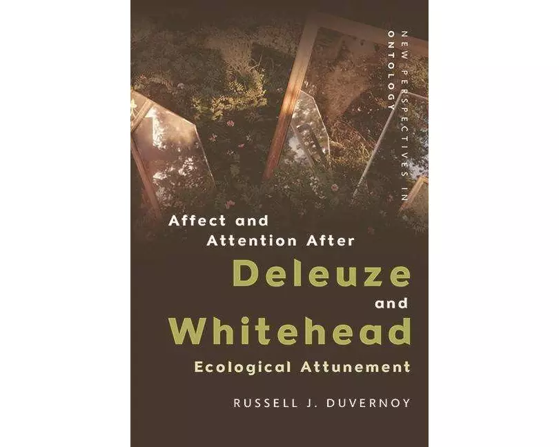 Affect and Attention After Deleuze and Whitehead