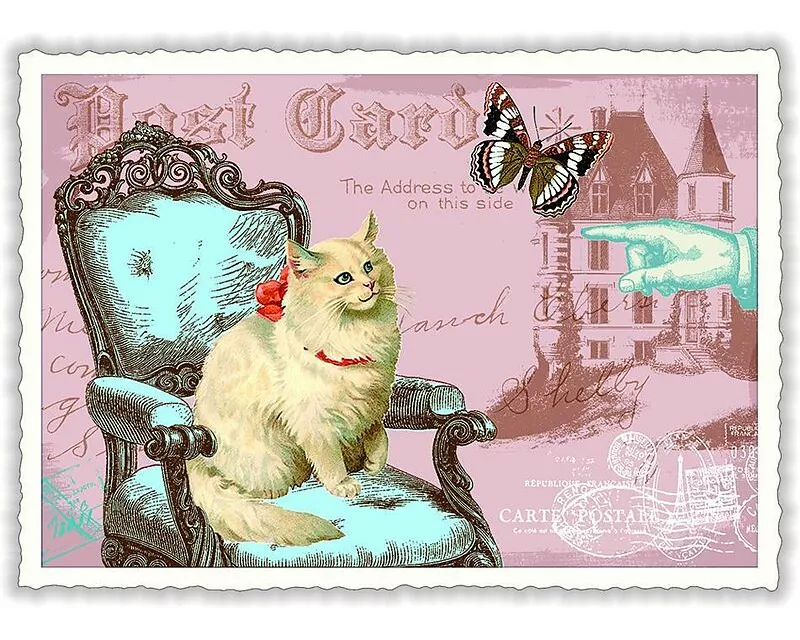 Postkarte / Katze auf Sessel / quer / blanko