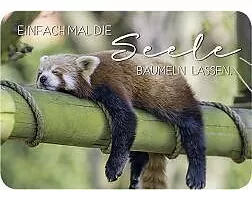 Postkarte. Einfach mal die Seele... (Tier)