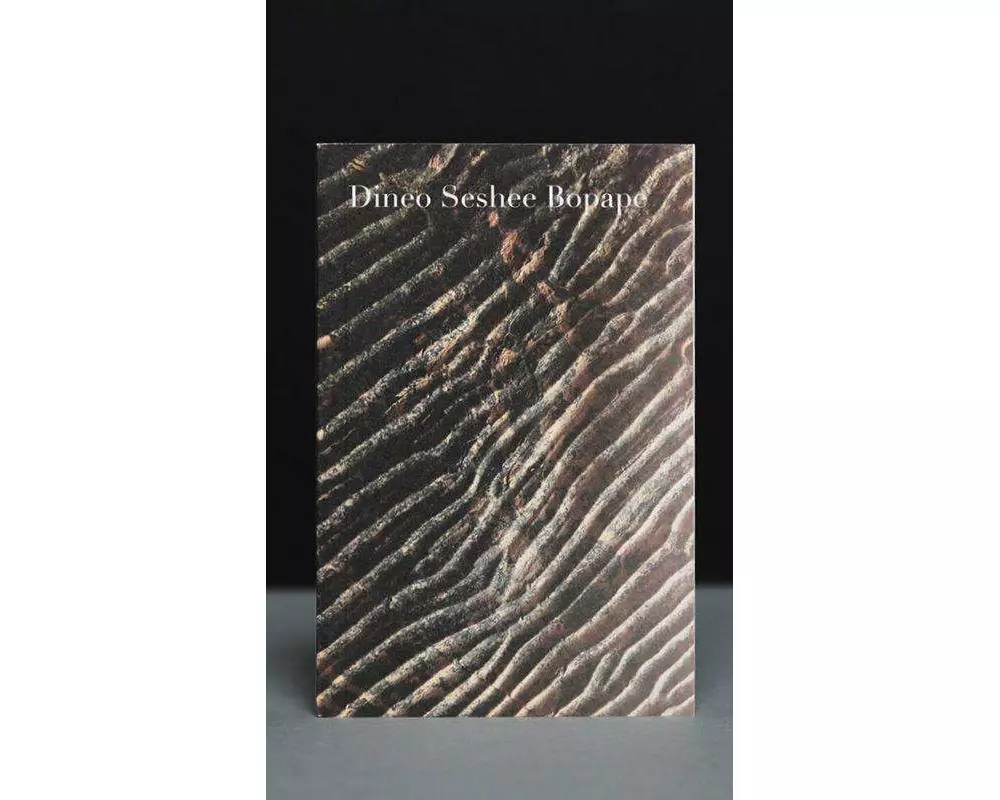Dineo Seshee Bopape