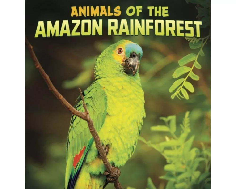 Animals Of The Amazon Rainforest