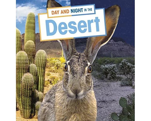 Day and Night in the Desert