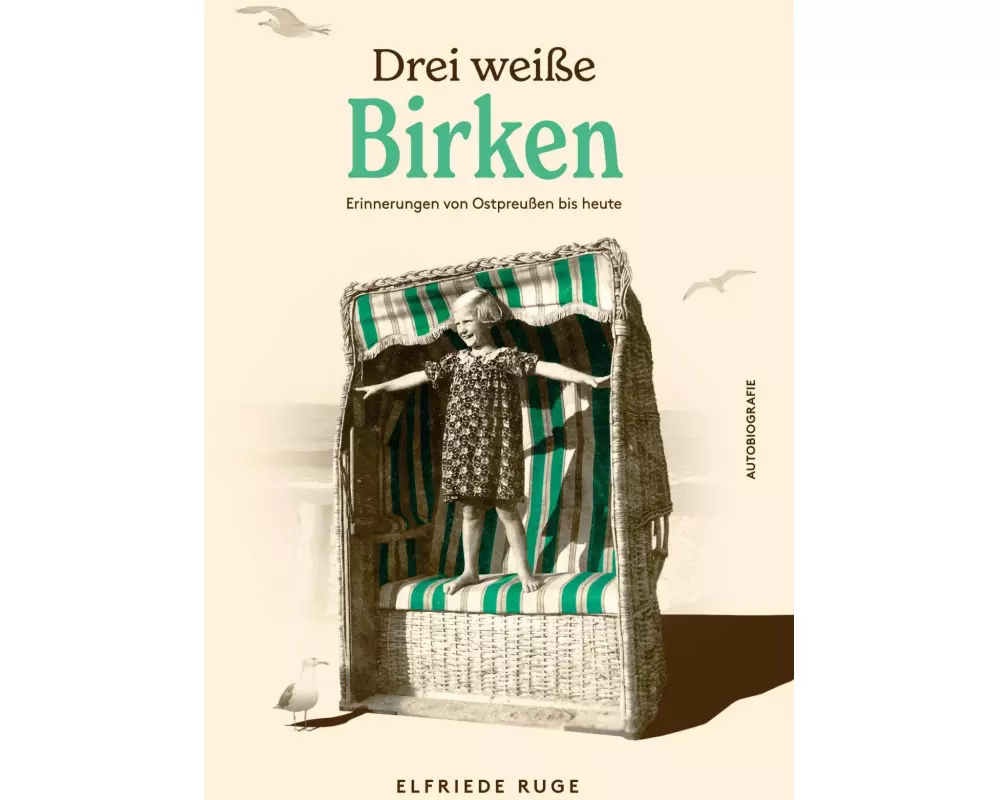 Drei weiße Birken