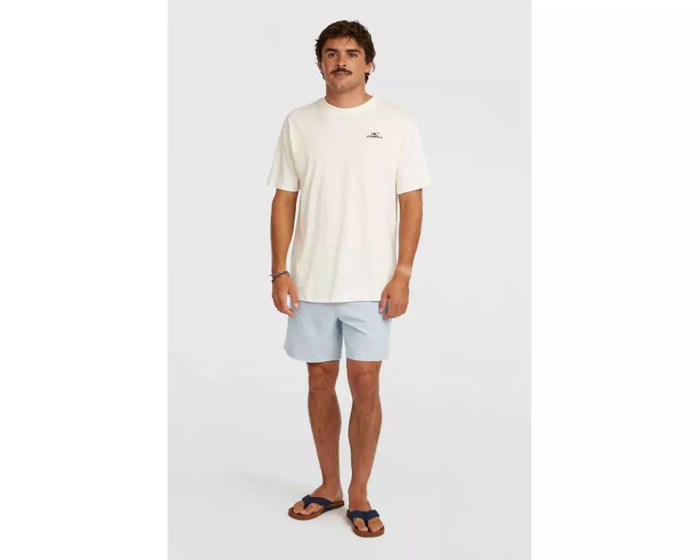 O'NEILL LOGO 16 SWIMSHORTS Gr. XXL, Hellblau