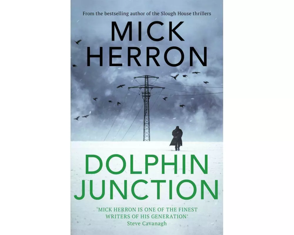 Dolphin Junction