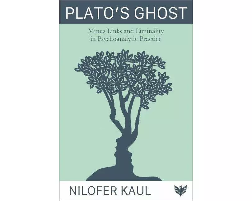 Plato’s Ghost