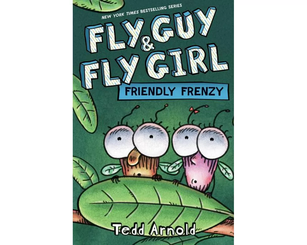 Fly Guy and Fly Girl: Friendly Frenzy