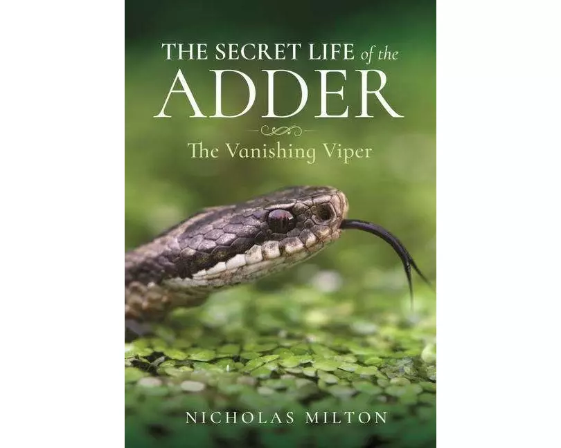 The Secret Life of the Adder