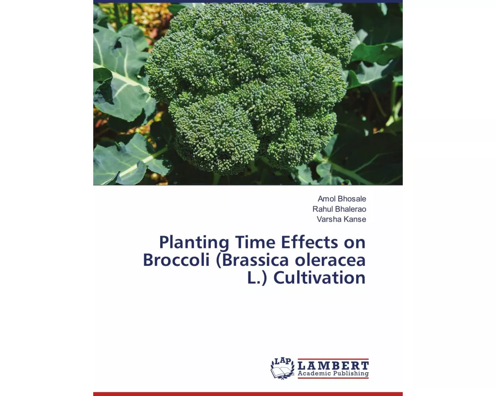 Planting Time Effects on Broccoli (Brassica oleracea L.) Cultivation