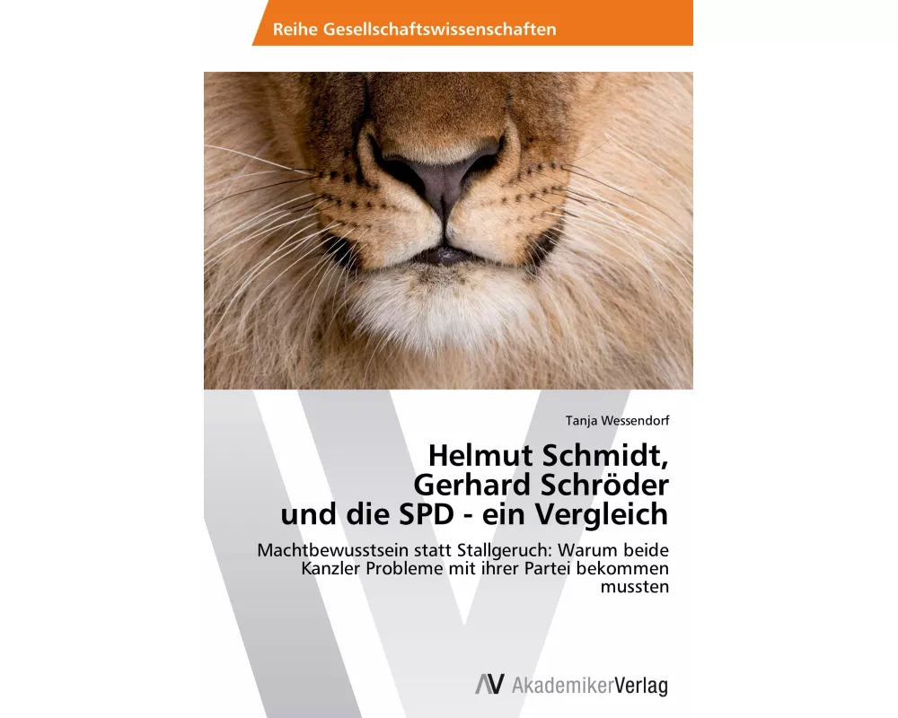Helmut Schmidt, Gerhard Schröder und die SPD - ein Vergleich