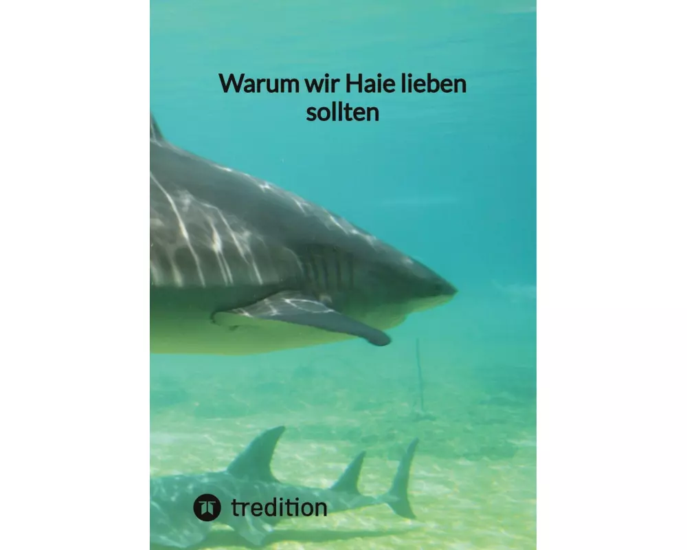 Warum wir Haie lieben sollten