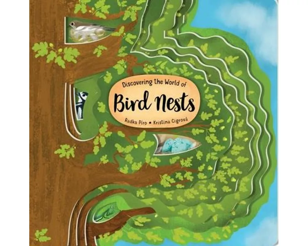 Discovering the World of Bird Nests