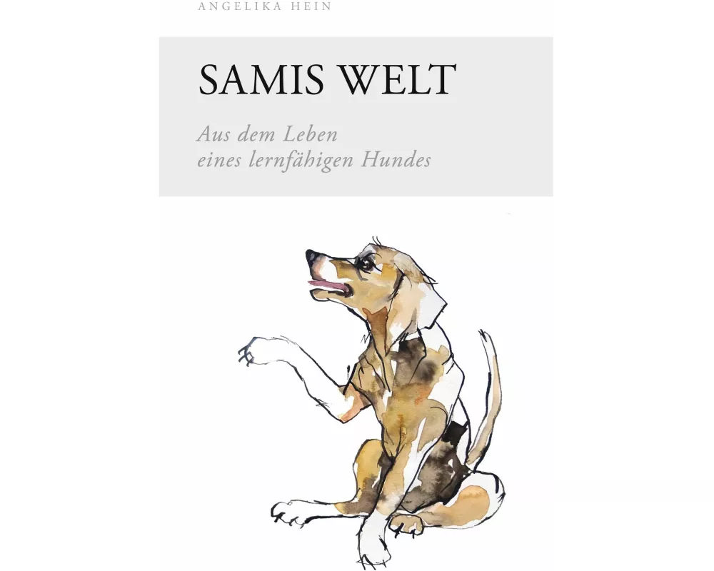 Samis Welt