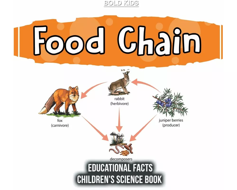 Food Chain Educational Facts Children's Science Book