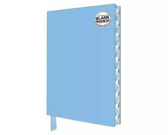 Duck Egg Blue Blank Artisan Notebook (Flame Tree Journals)