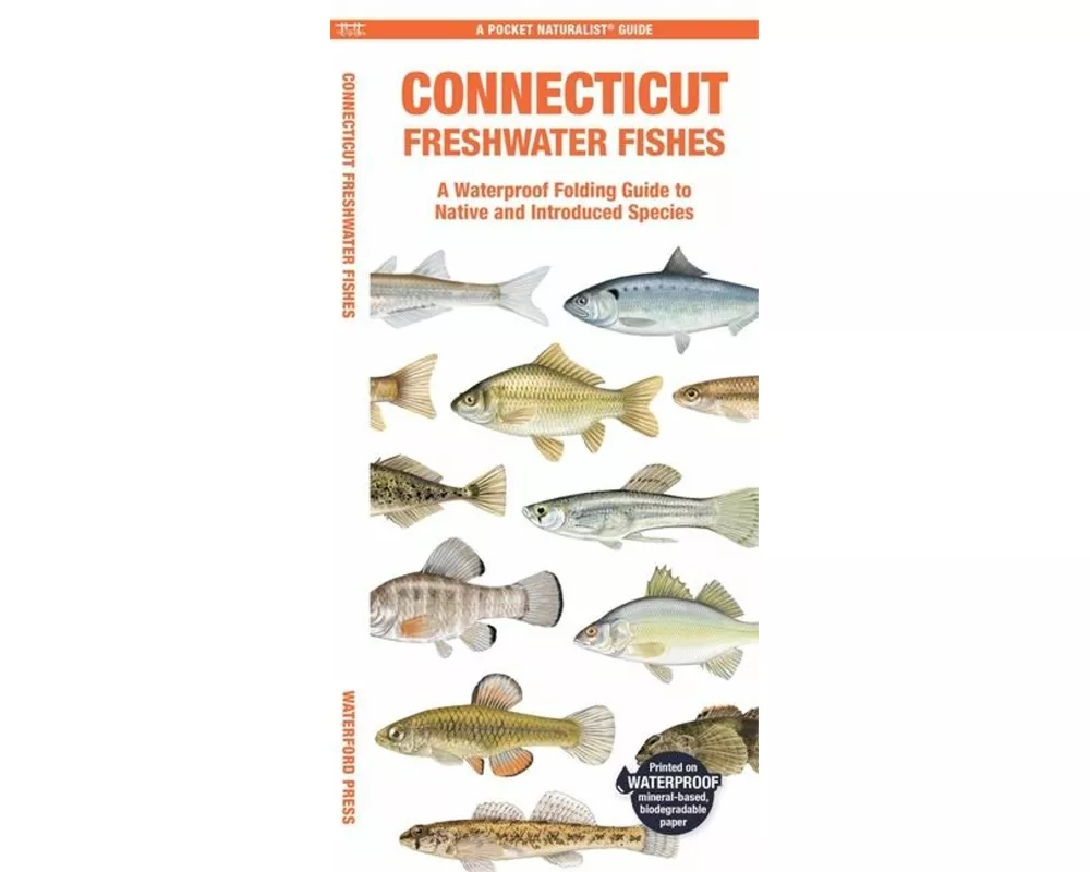 Connecticut Freshwater Fishes