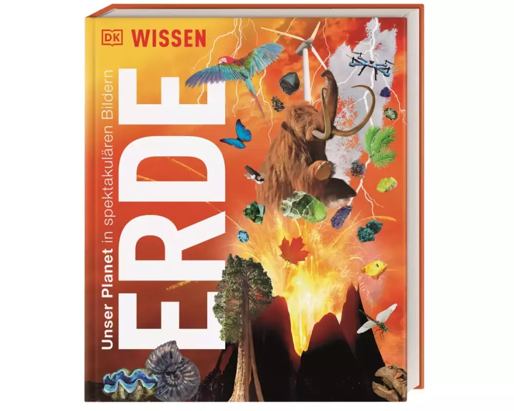 DK Wissen. Erde