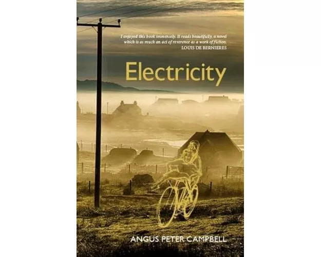 Electricity