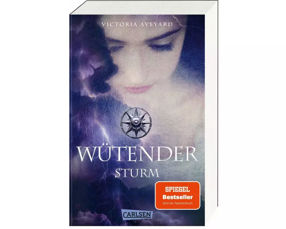 Wütender Sturm (Die Farben des Blutes 4)