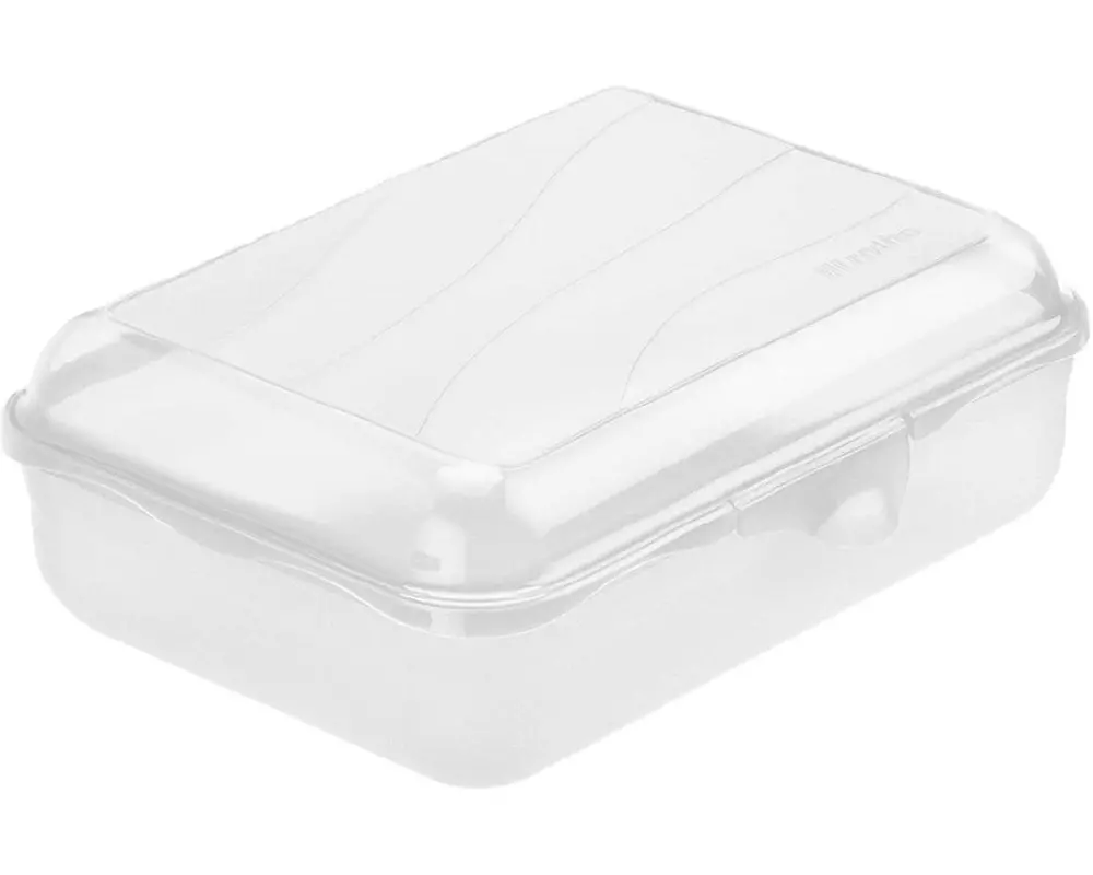 Rotho Lunchbox Fun 1250 ml, Transparent