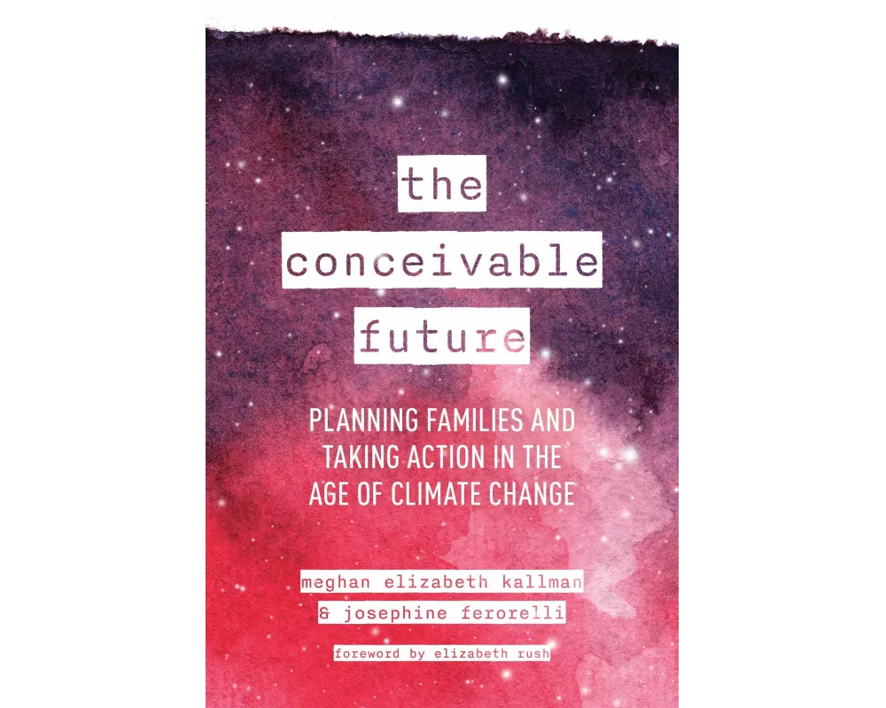 The Conceivable Future