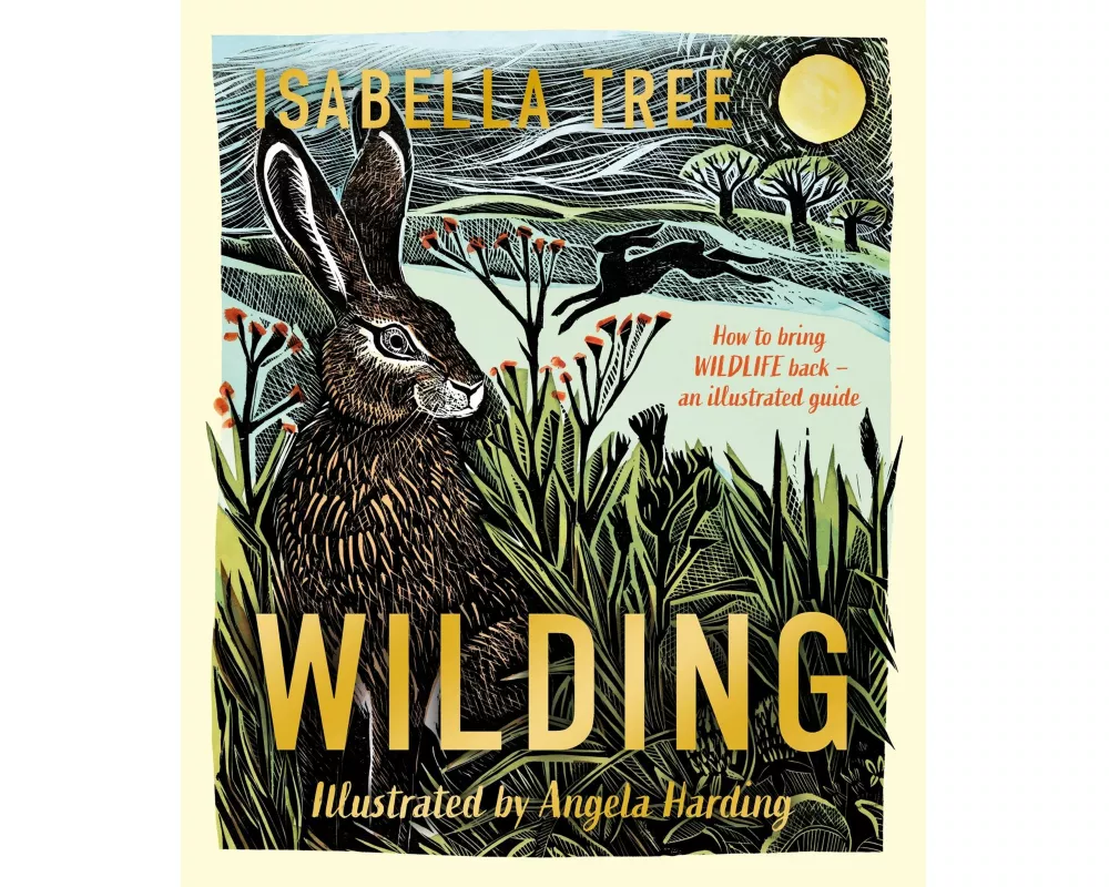Wilding: How to Bring Wildlife Back - an Illustrated Guide