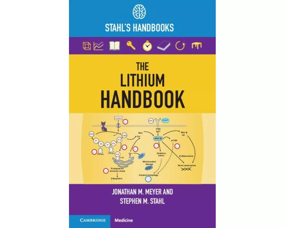 The Lithium Handbook