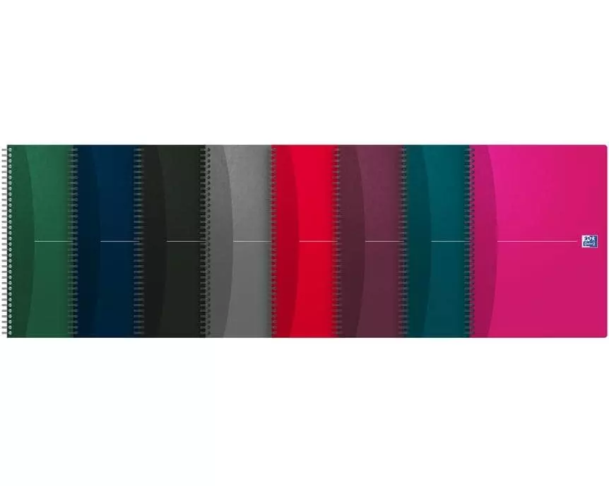 Oxford Notizbuch A4, kariert, Assortiert