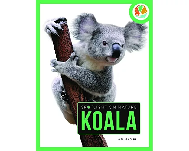 Spotlight on Nature: Koala