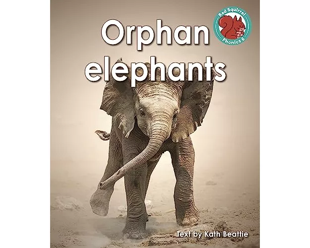Orphan elephants
