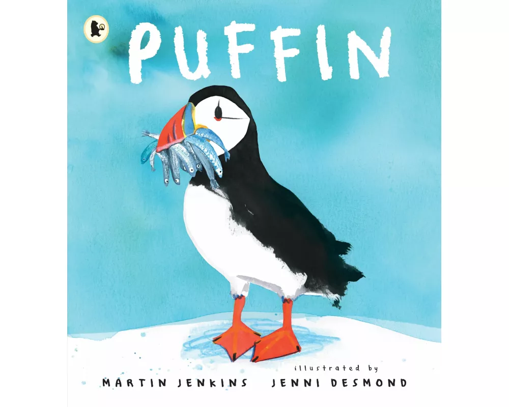 Puffin