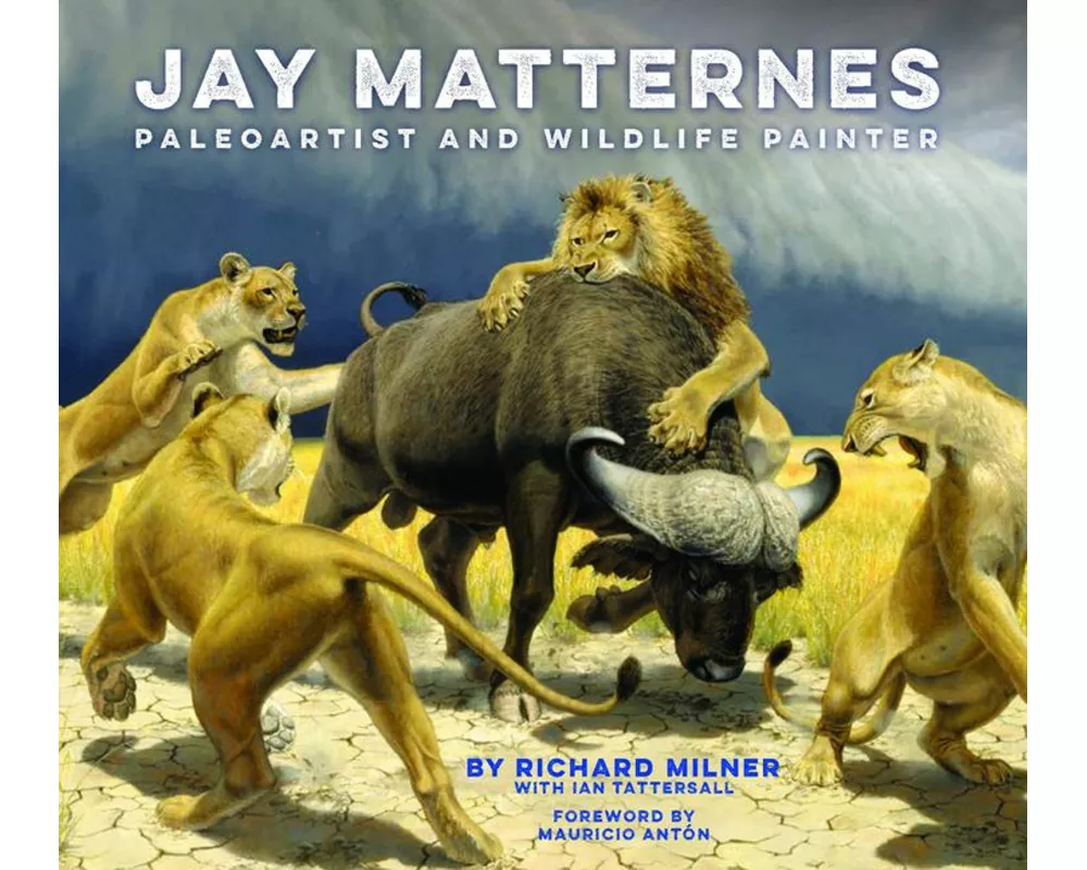 Jay Matternes