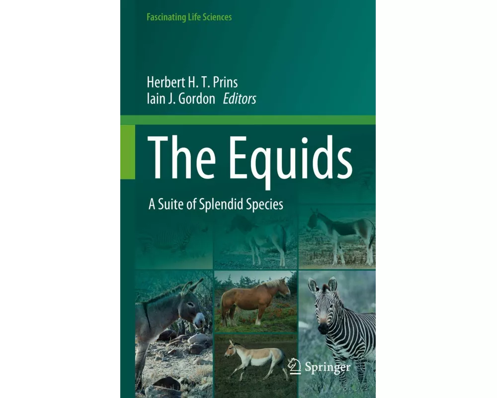 The Equids