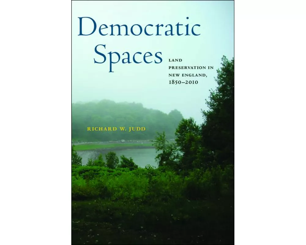 Democratic Spaces