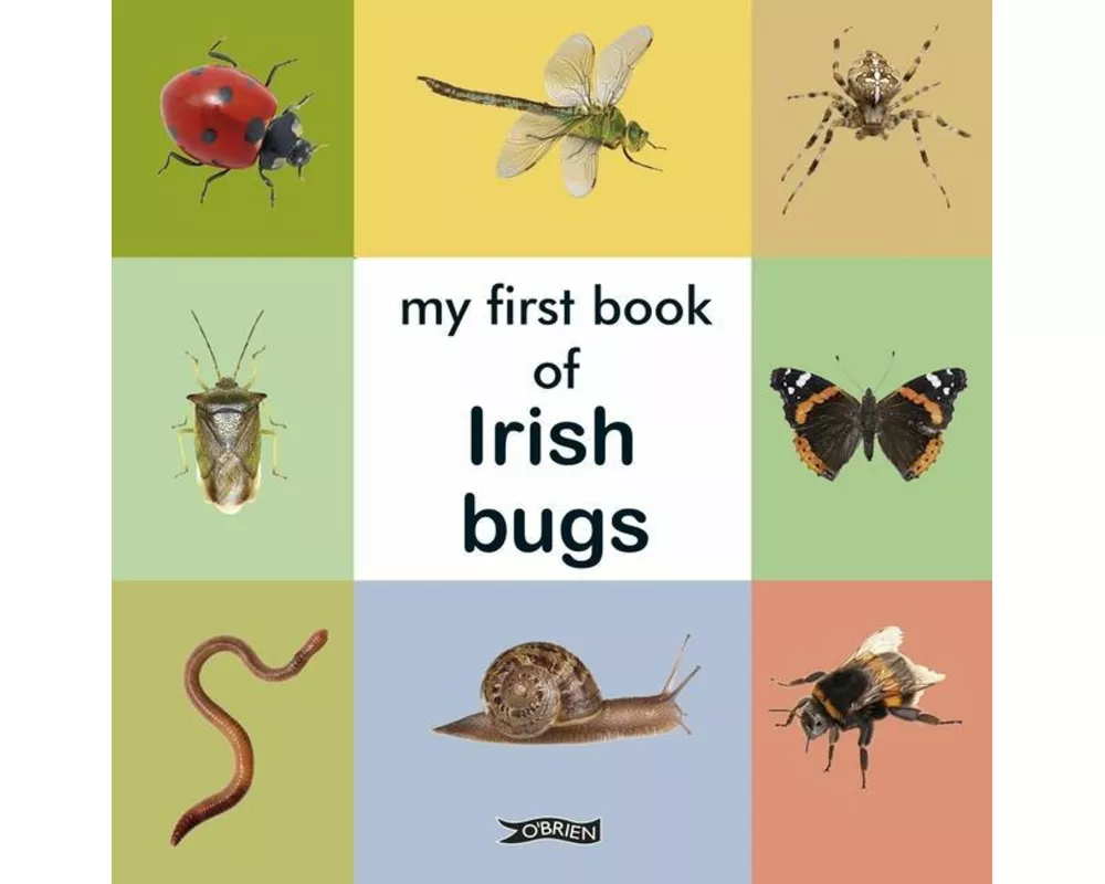 My First Book of Irish Bugs