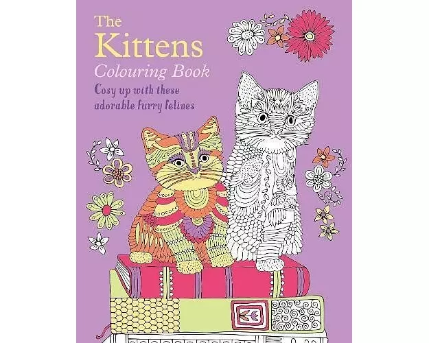 The Kittens Colouring Book