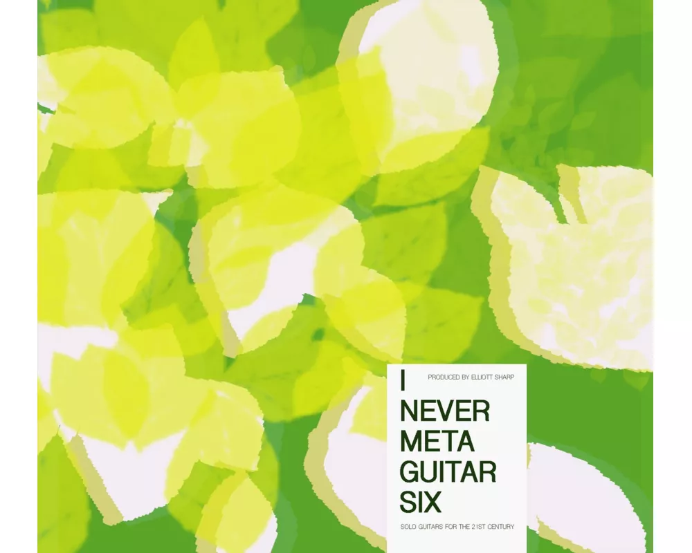 I Never Metaguitar 6