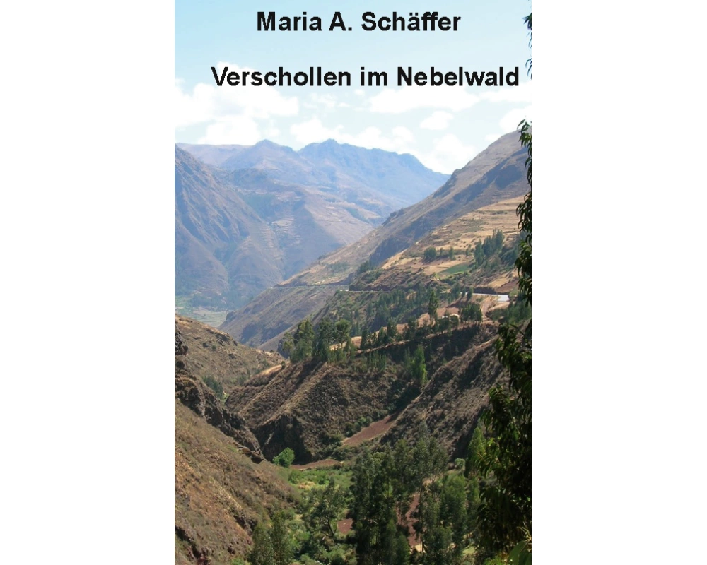 Verschollen im Nebelwald