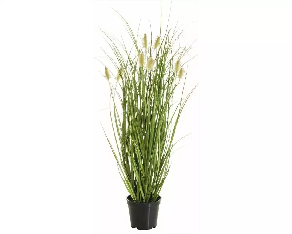Botanic-Haus Kunstpflanze Fuchsschwanzgras, 46 cm