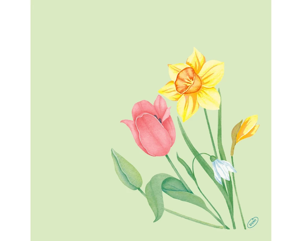 Duni Papierservietten Spring Melody 40 cm x 40 cm, 60 Stück