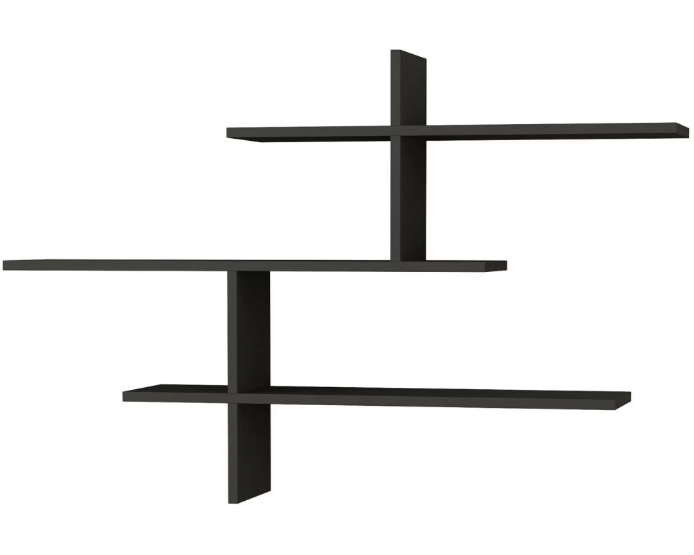 Woody Fashion Wandregal Leo 123 x 80.5 cm, Anthrazit