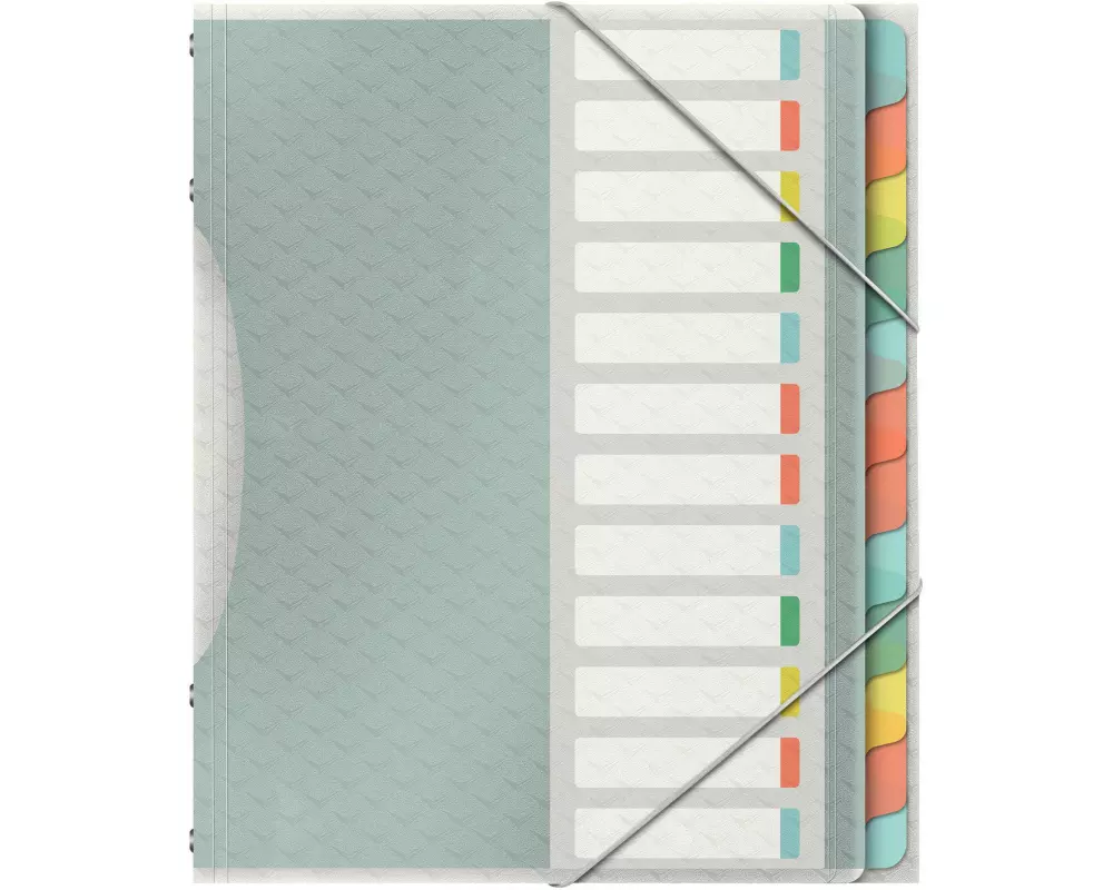 Esselte Ordnungsmappe COLOUR‘ICE 12 Fächer, Mehrfarbig