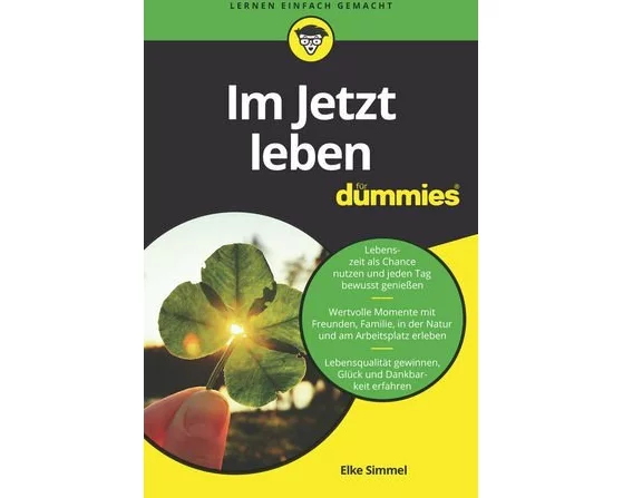 Im Jetzt leben für Dummies