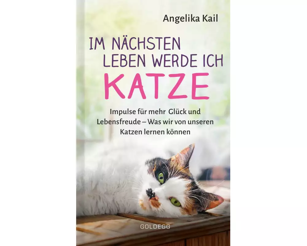 Im nächsten Leben werde ich Katze