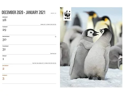 WWF Amazing Wildlife Deluxe A5 Diary 2021