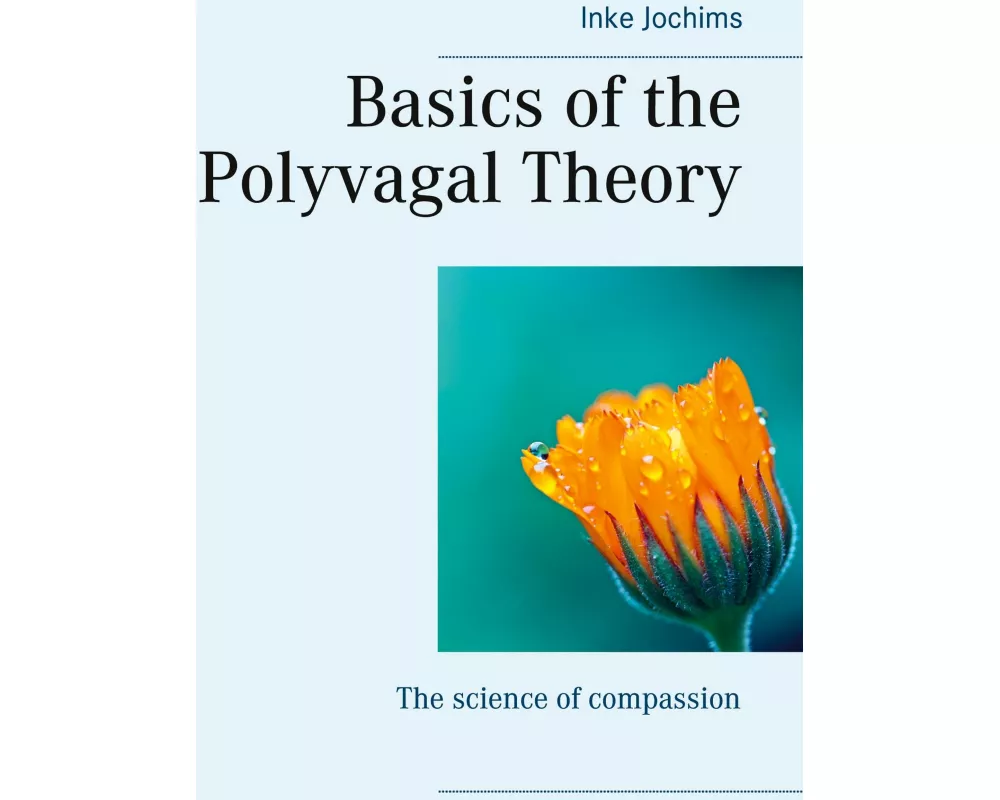 Basics of the Polyvagal Theory