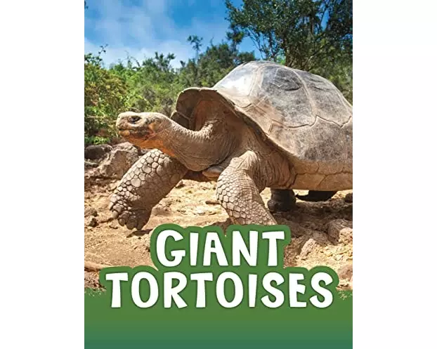 Giant Tortoises